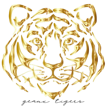 Gold Faux Foil Tiger Crop Top