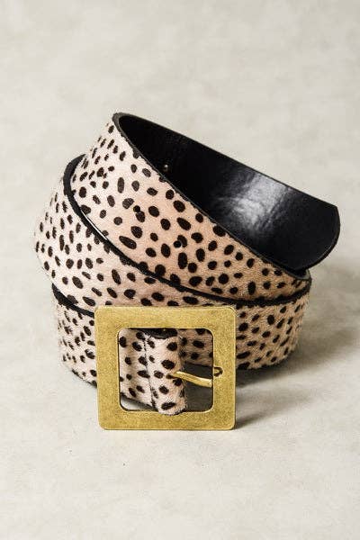 JOSSLYN by wall to wall - CLASSIC OVERSIZED SQUARE BUCKLE BELTS | 40BT604: TAUPE