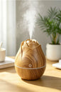 Humidifier Aroma Diffuser
